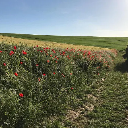 Katis'apartment アパート