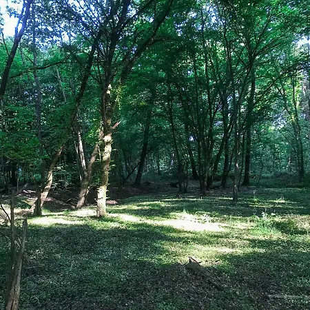 アパート Katis'apartment