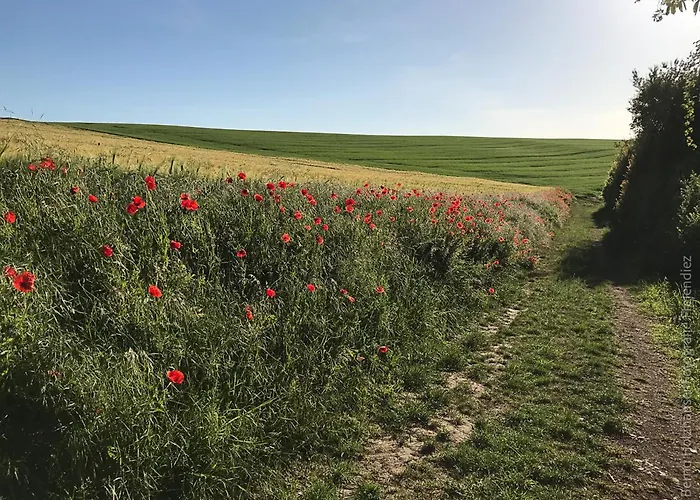 Katis'apartment Appartement