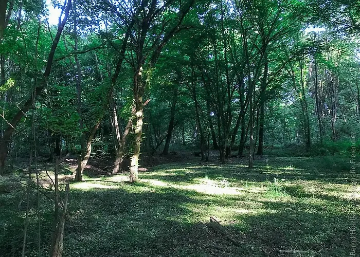 Appartement Katis'apartment